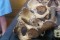 IMG-20170324-WA0044