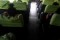 IMG-20170324-WA0080